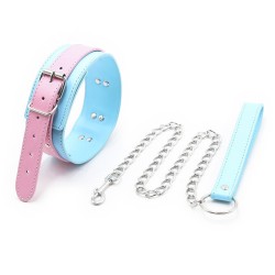 blue-pink-collars-with-lead.jpg