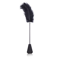 feather tickler with lace paddle